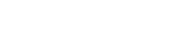 Bocini logo