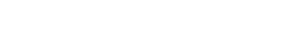 Paramount Safety logo